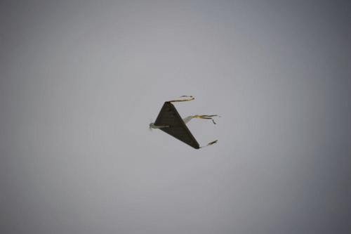 2015 010 DSC 7604 HP