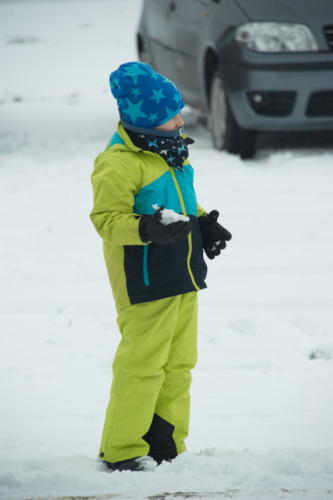 2017 10 2017-01-08 13-46-26 DSC 1743