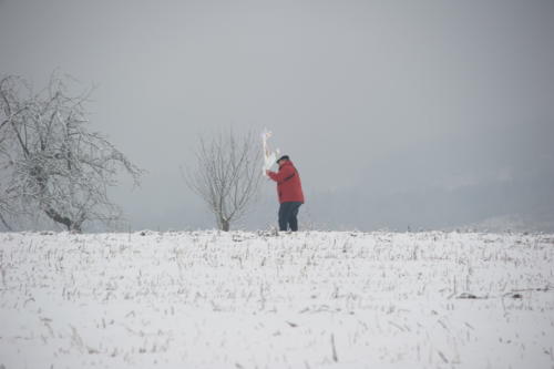 2017 10 2017-01-08 13-52-20 DSC 1745