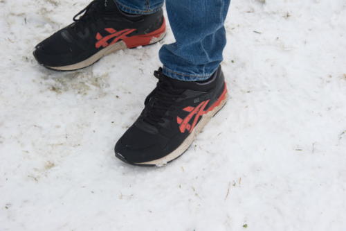 2017 10 2017-01-08 15-17-29 DSC 1792